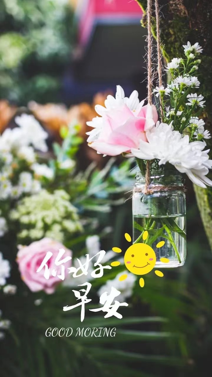 早上好