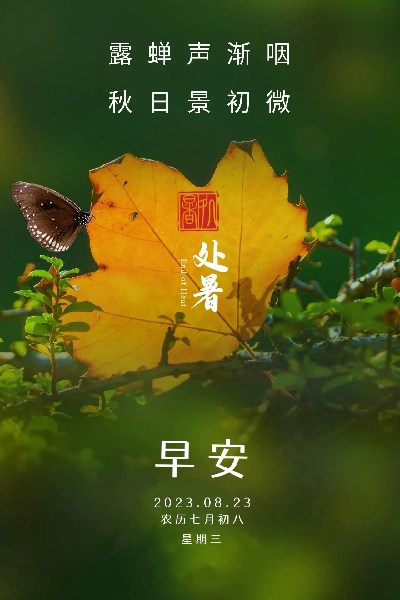早安
