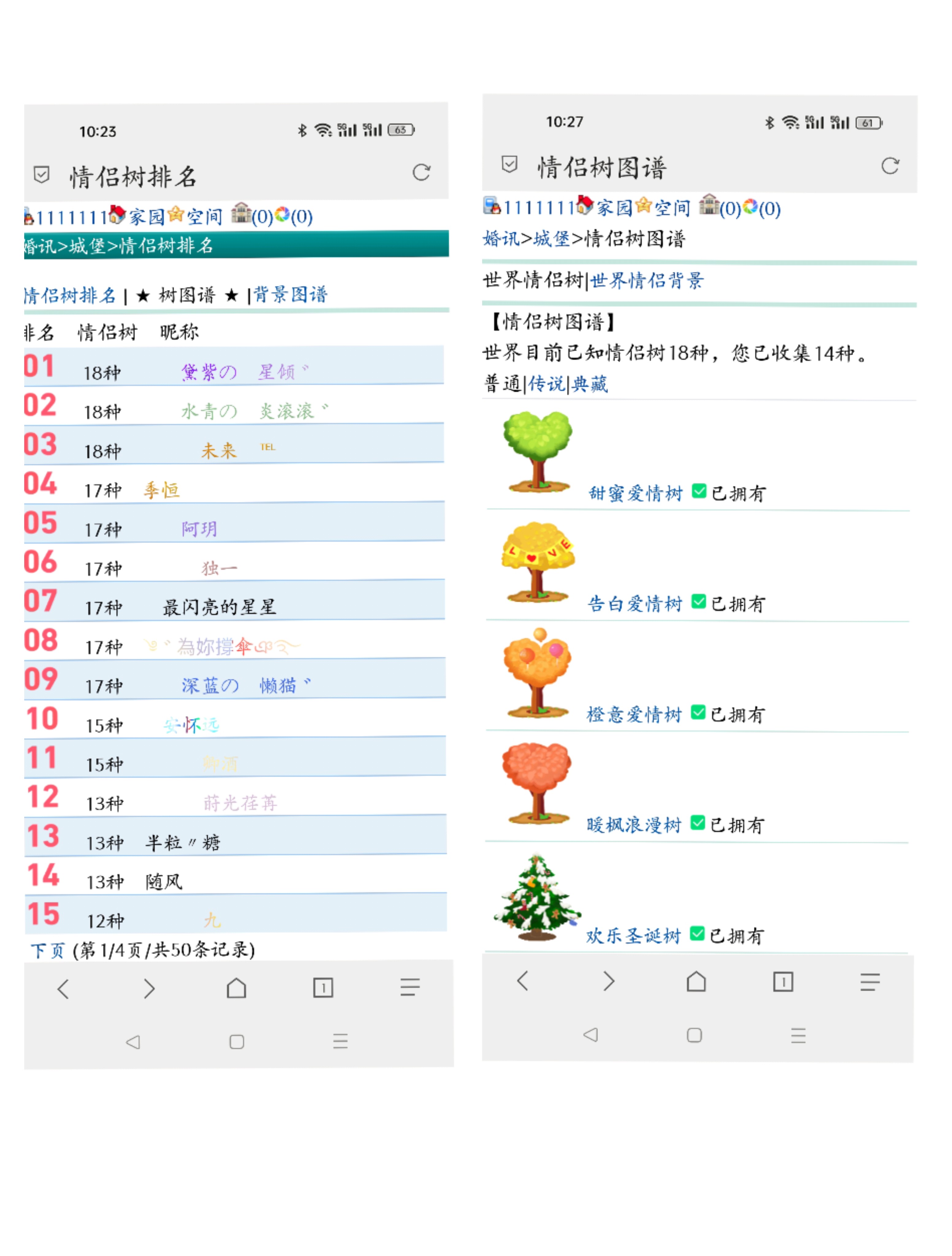 关于情侣树