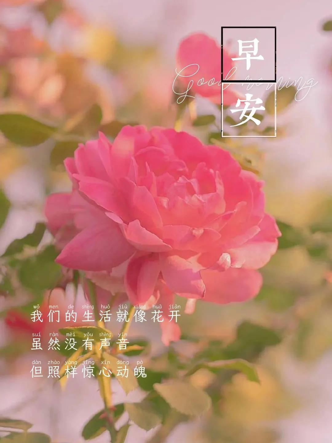 早早早