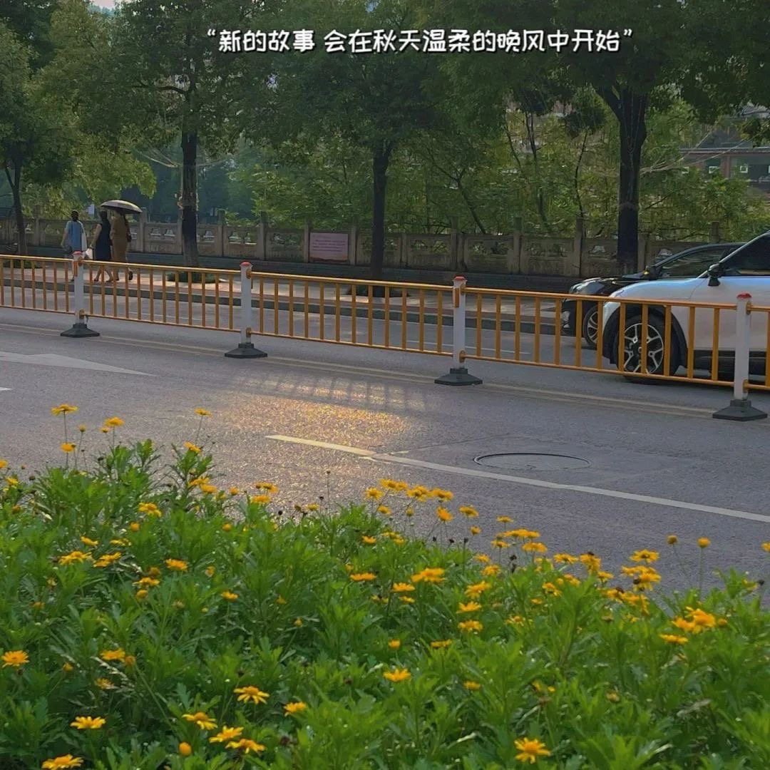 季节轮换