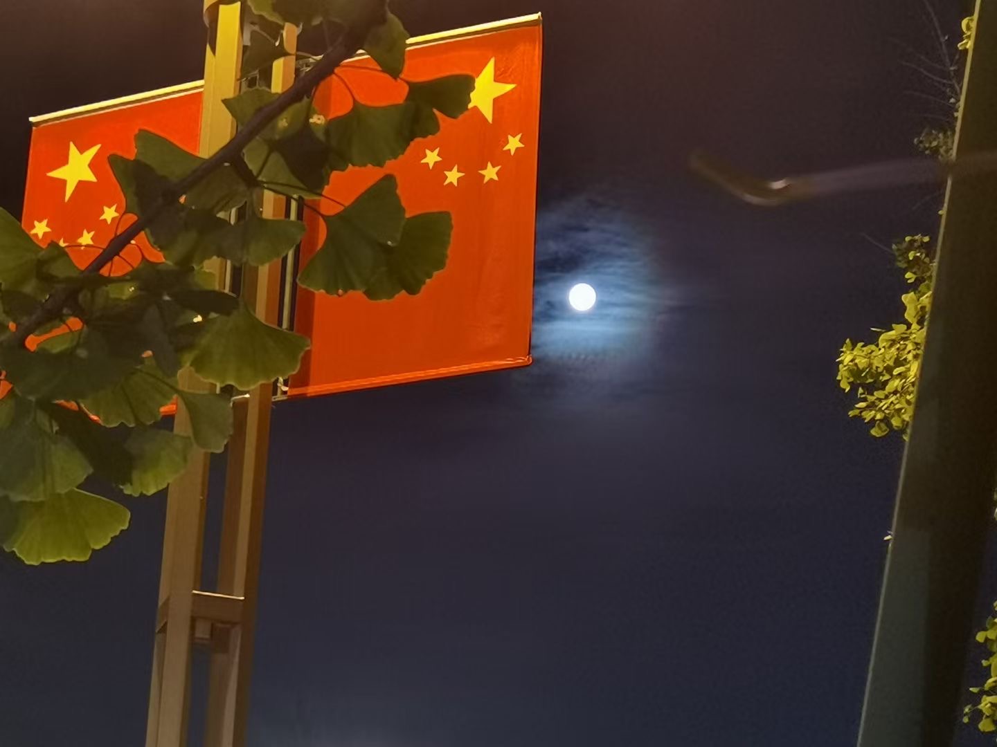 月亮看了吗