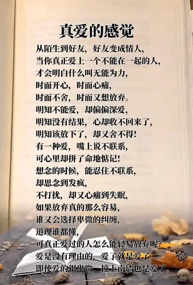真爱的感觉