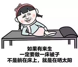 如果有来生