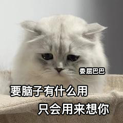 寒初宝宝丶滚摸宁～╭(╯ε╰)╮