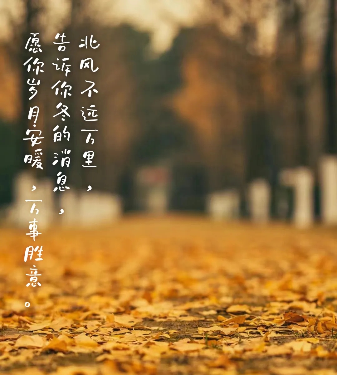 今日立冬