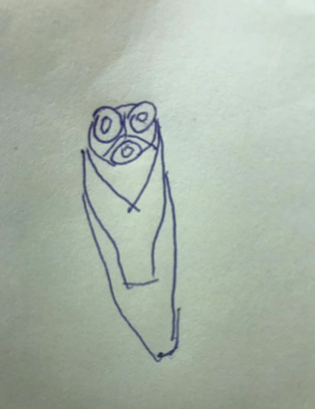 【画】可爱5