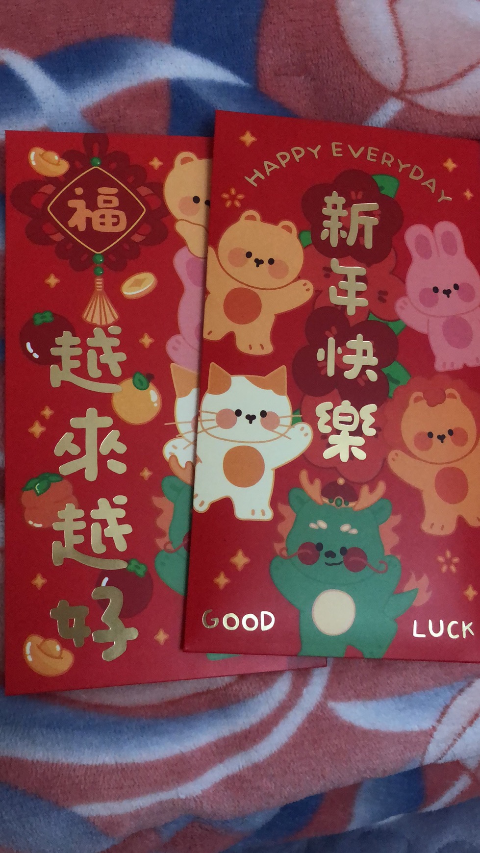 仪琳+我的春节时刻+花园