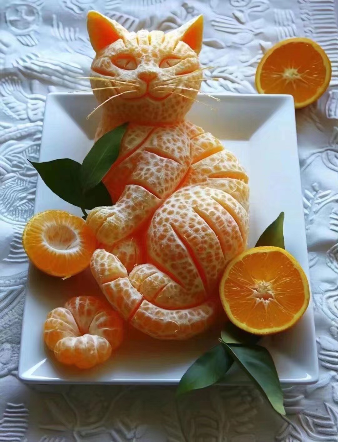 我也有只猫