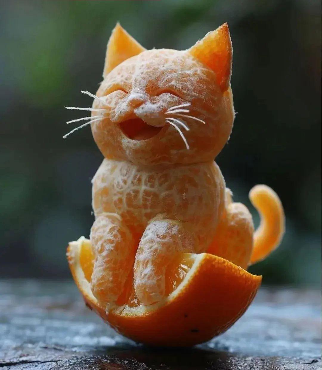 都在炫猫？