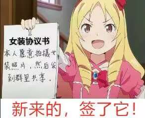 来新人咯