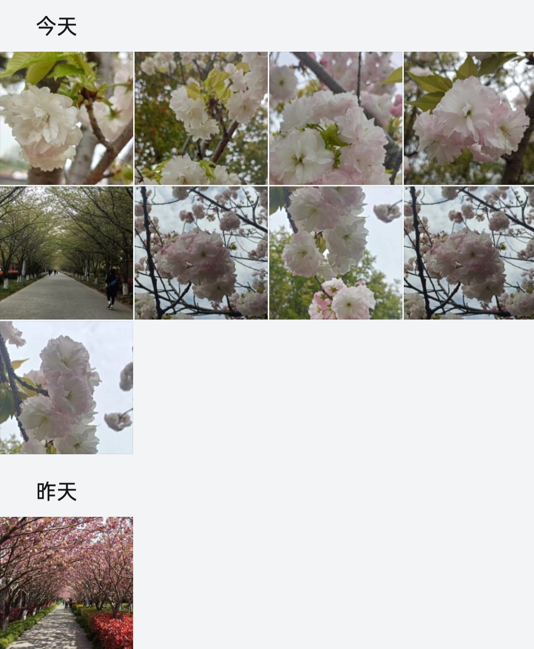 手机相册