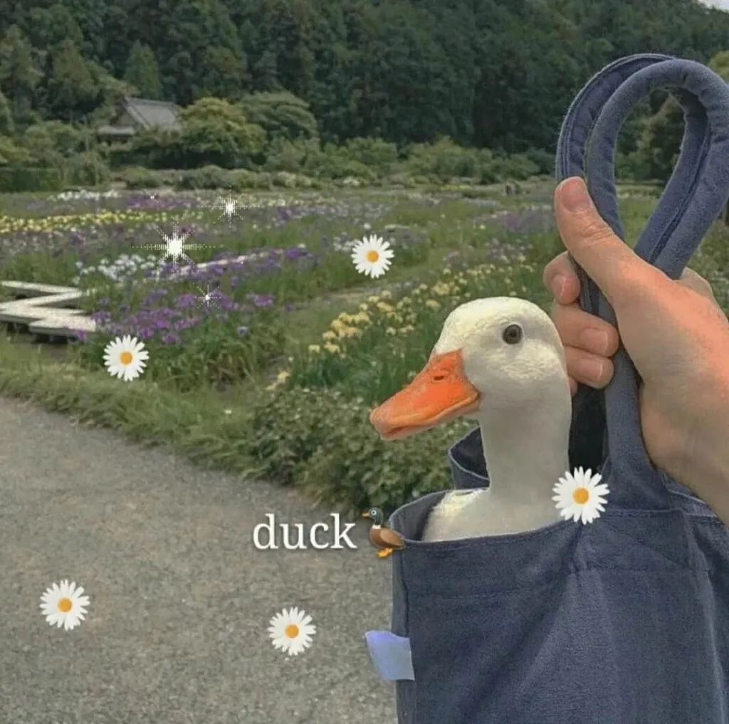 手机再无你俩痕迹