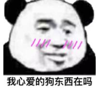 野王带上分