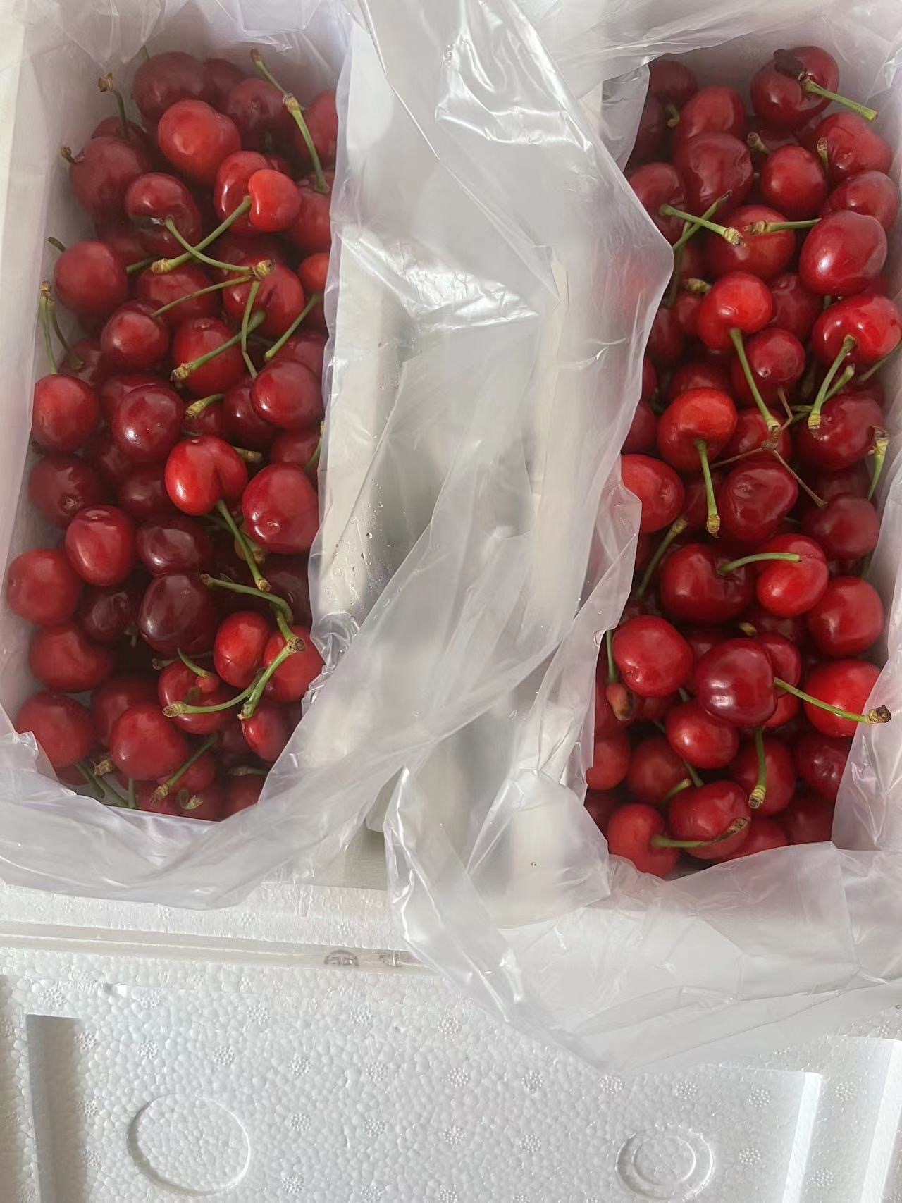 到我了到我了到我了~
