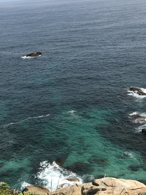 蒸媳妇