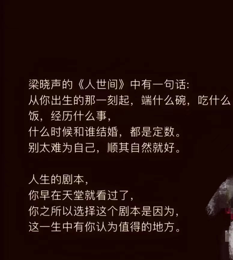感谢我君总