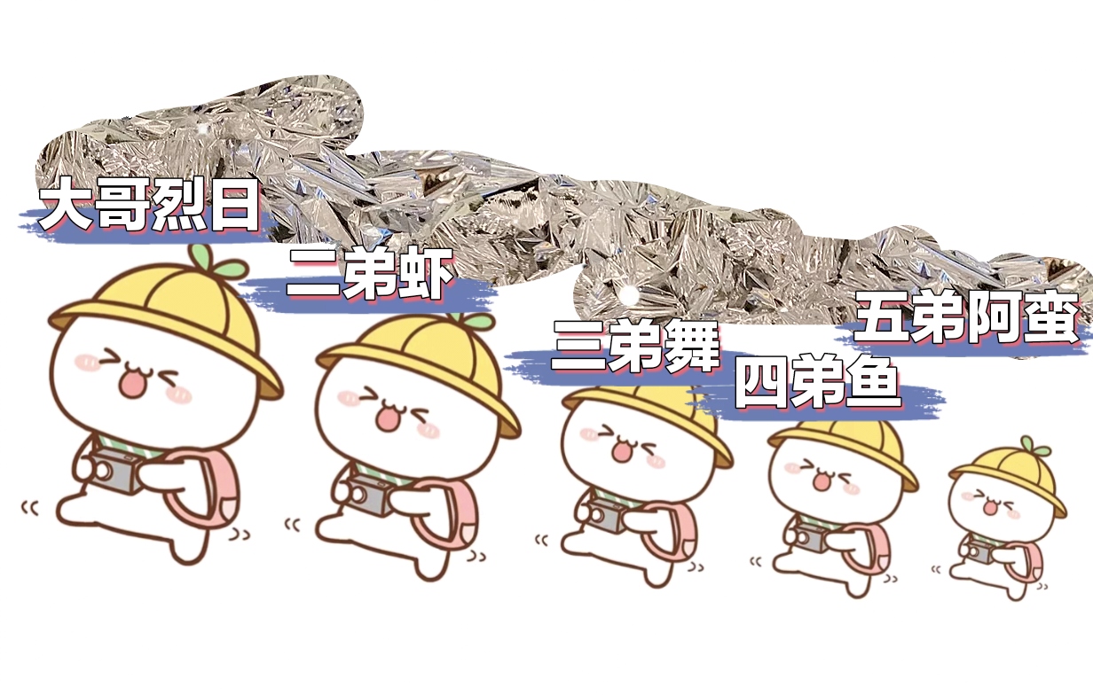 这分明就是我们哥五个啊