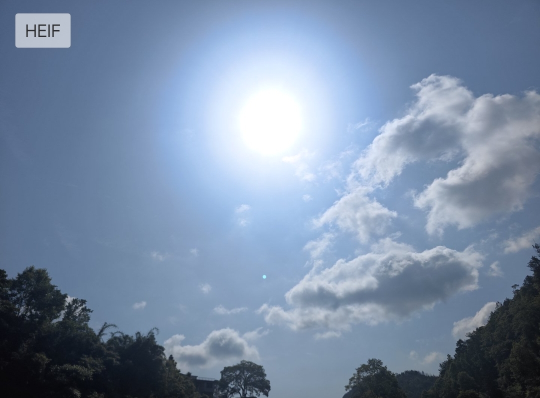 　　太阳是真的大