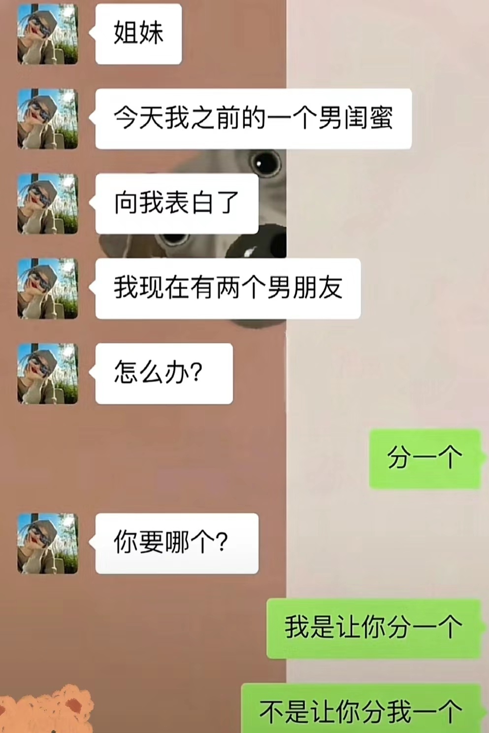 漂亮。