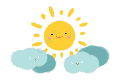 大号太阳花