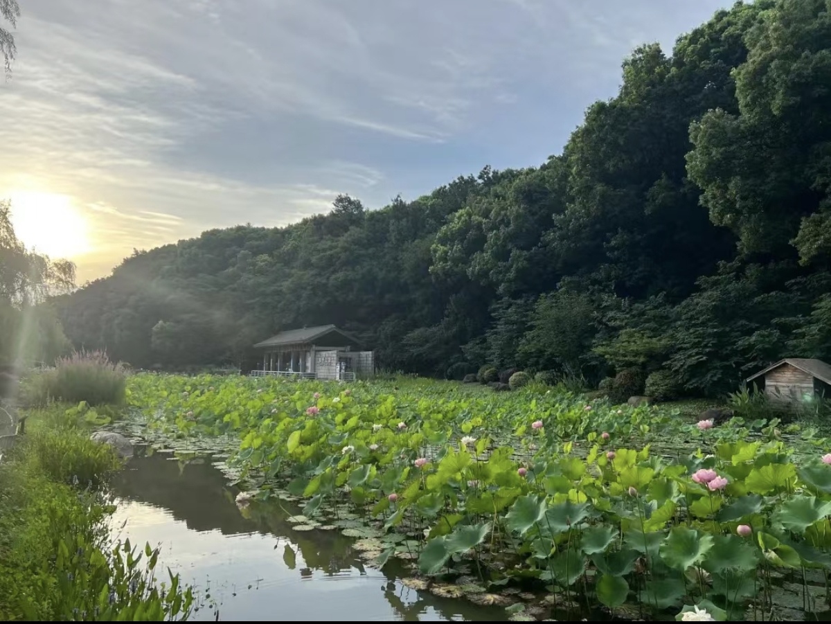 绿树阴浓夏日长，楼台倒影入池塘