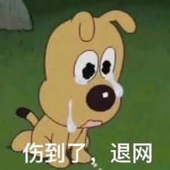 退网了家人们
