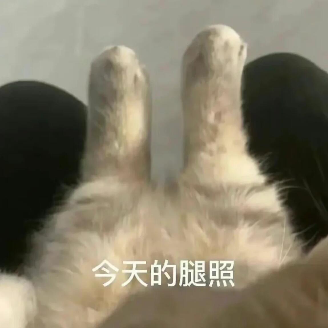 齐天大圣是你，盖世英雄是你，意中人也是你