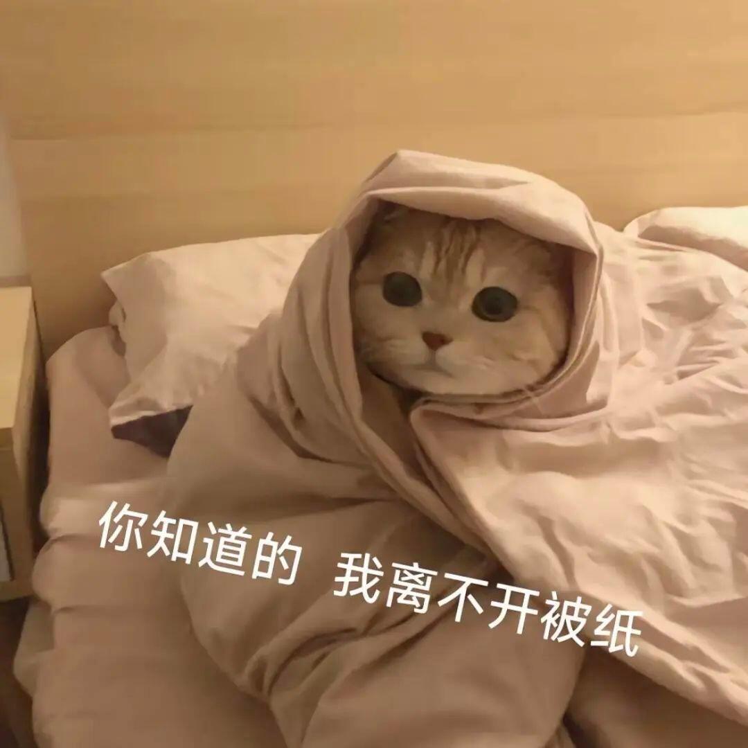 上辈子可能是碳酸饮料 一见到你就开心得冒泡