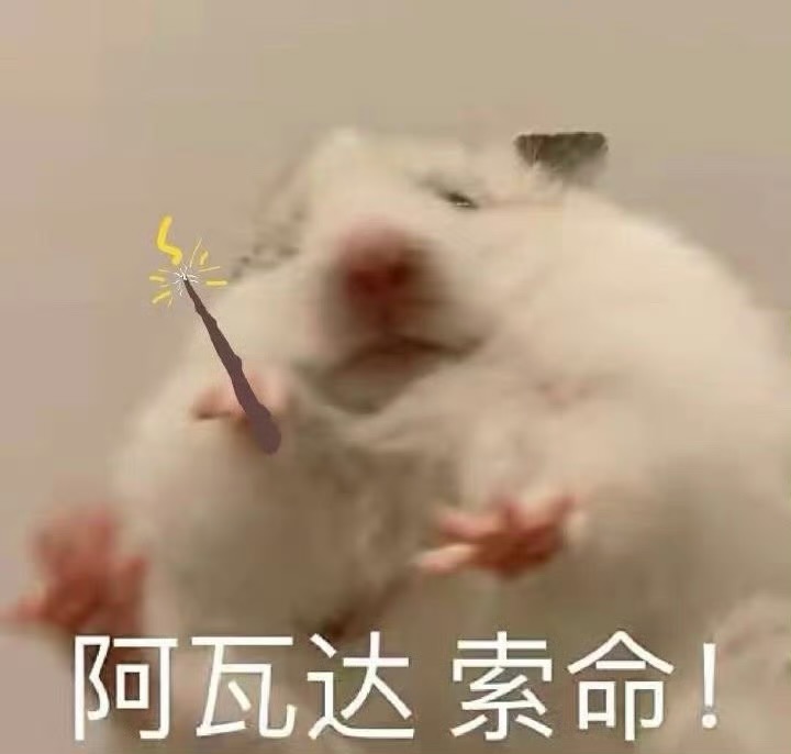 天网恢恢，肥而不腻 