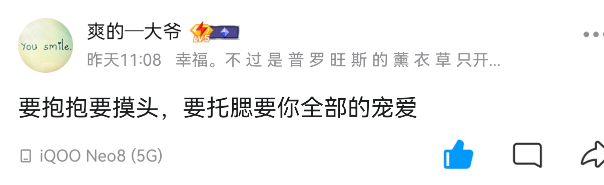 懒猫，你大功练成了吗
