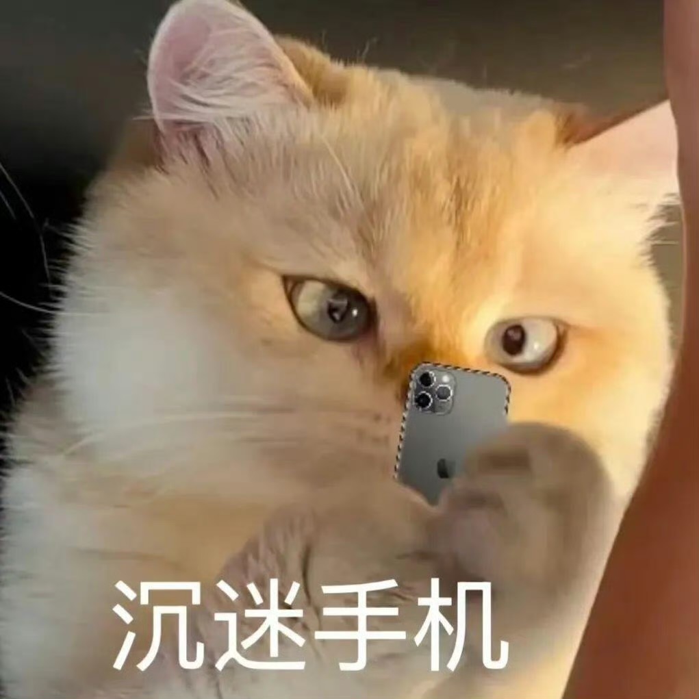 生活就是一个七日，接着另一个七日