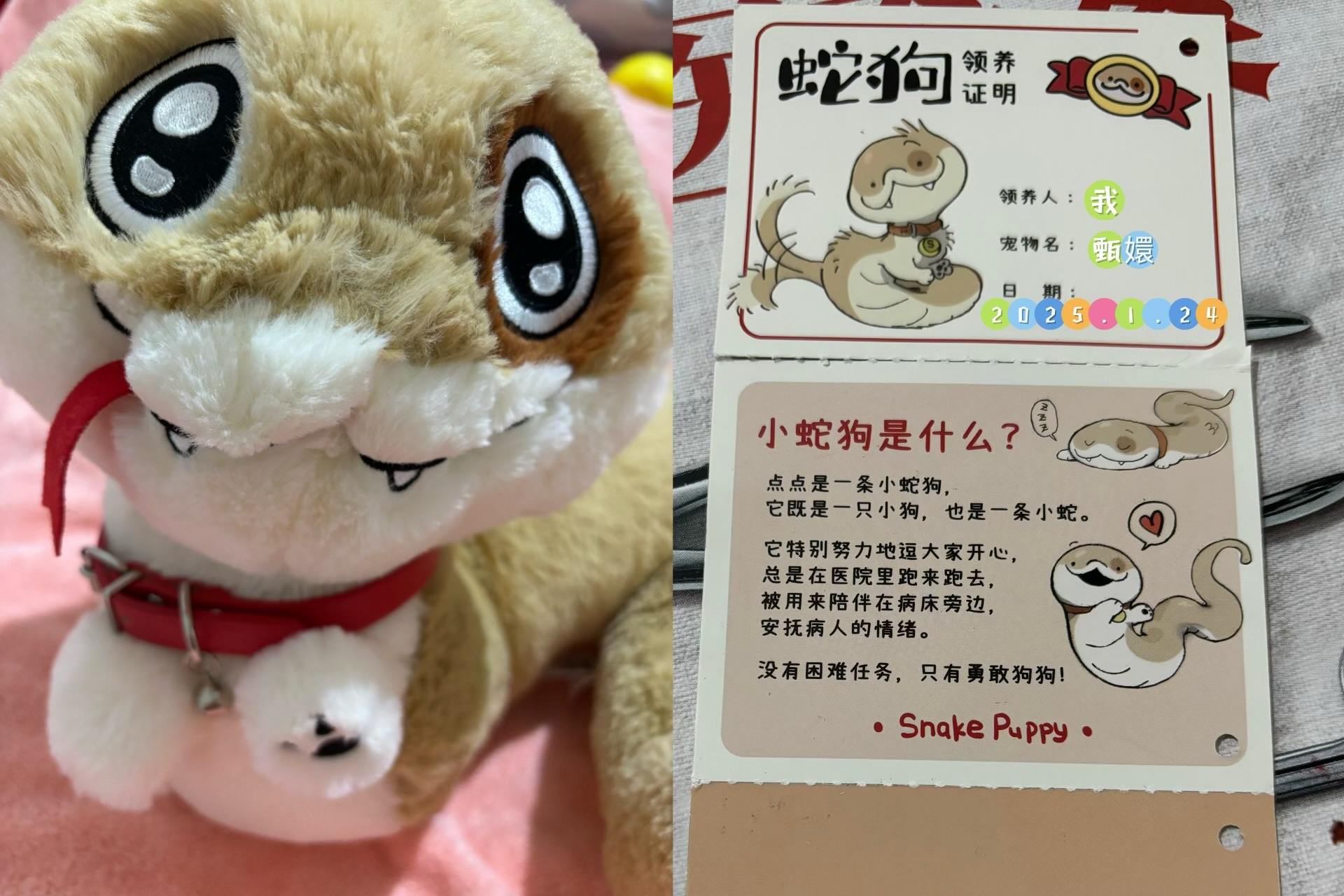 睡觉💤