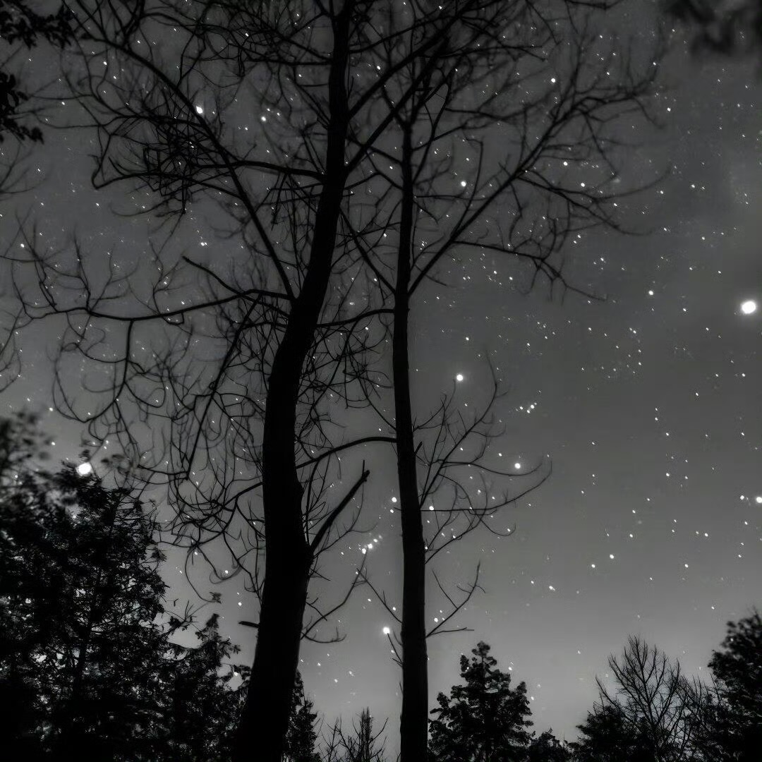 做事不需人人都理解，只需尽心尽力