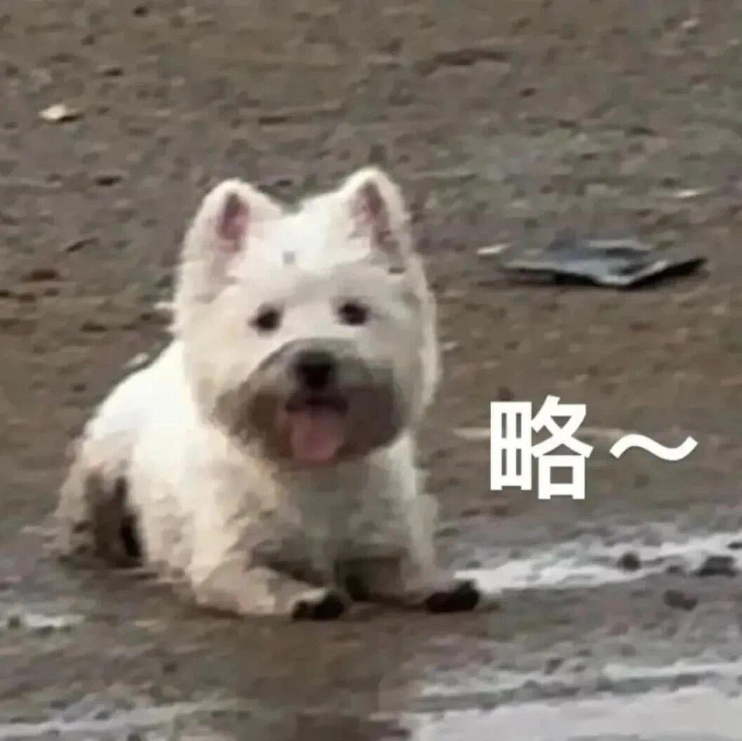 有句略略略不知当讲不当讲