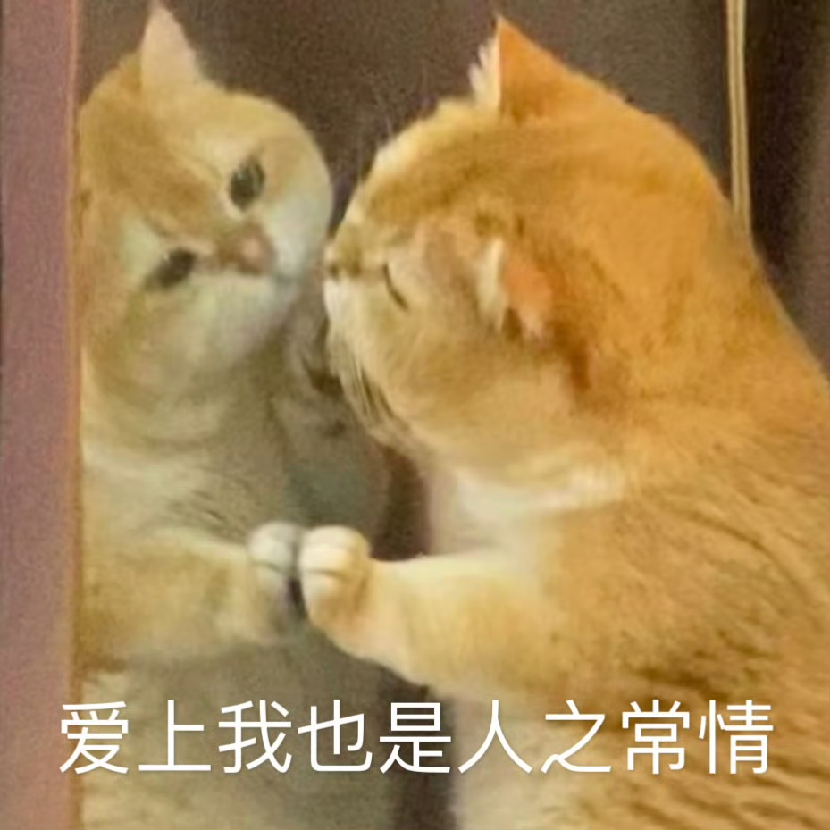 不长帅点，怎么对得起那些暗恋我的人