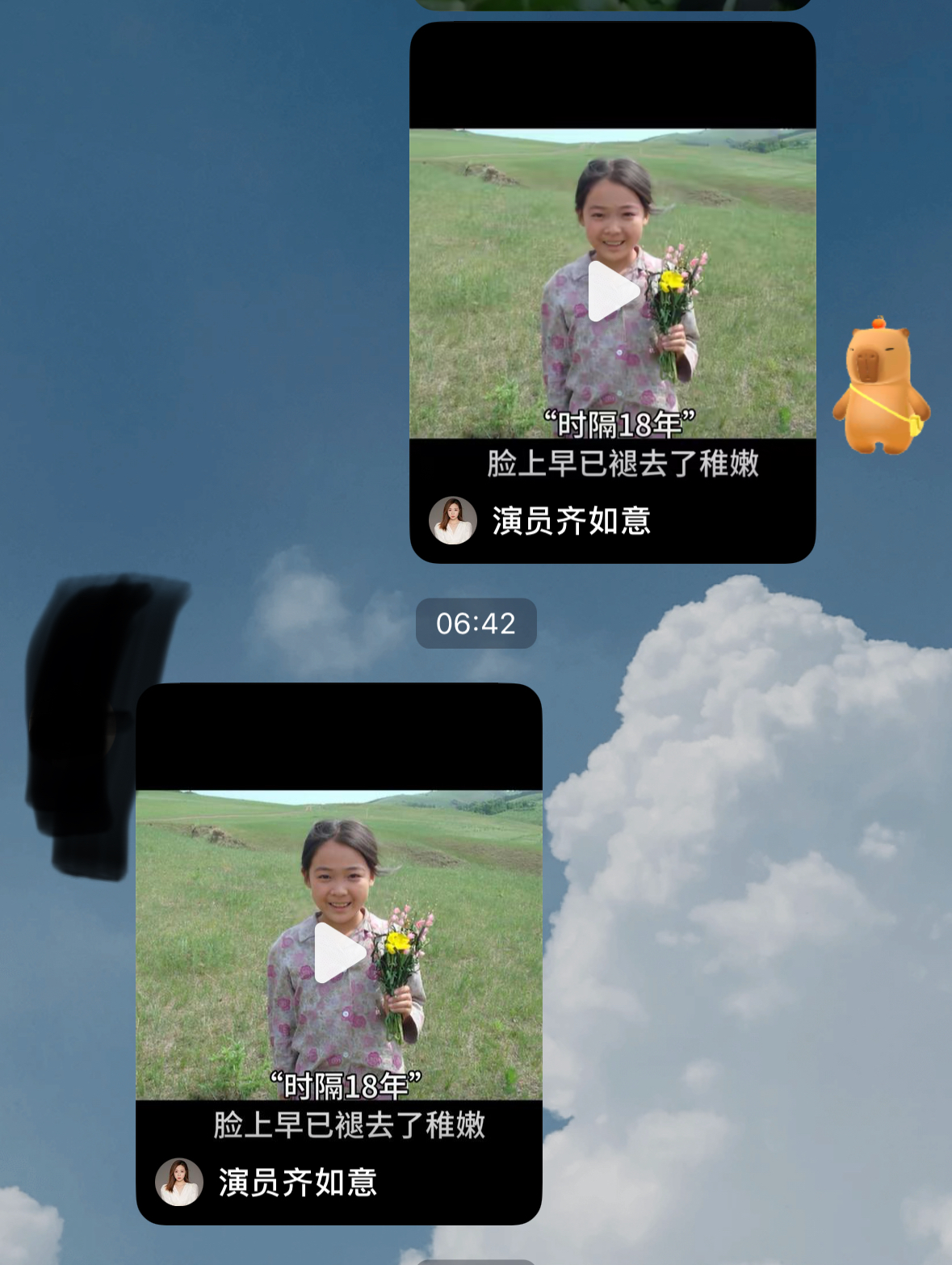 网络寻回犬