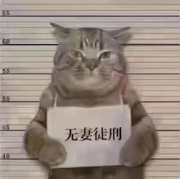玩到腻了 