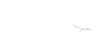 粉树小