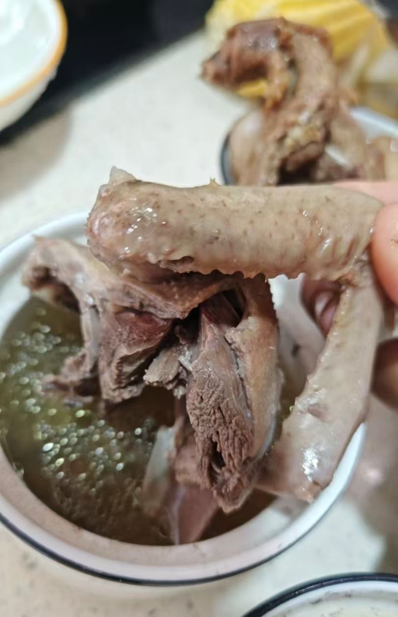 你未来婆婆中午煲的鸽子汤