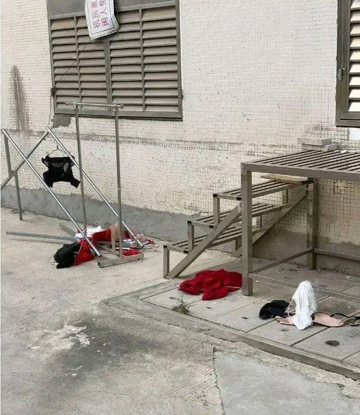 找城堡错过了一个双黄包子
