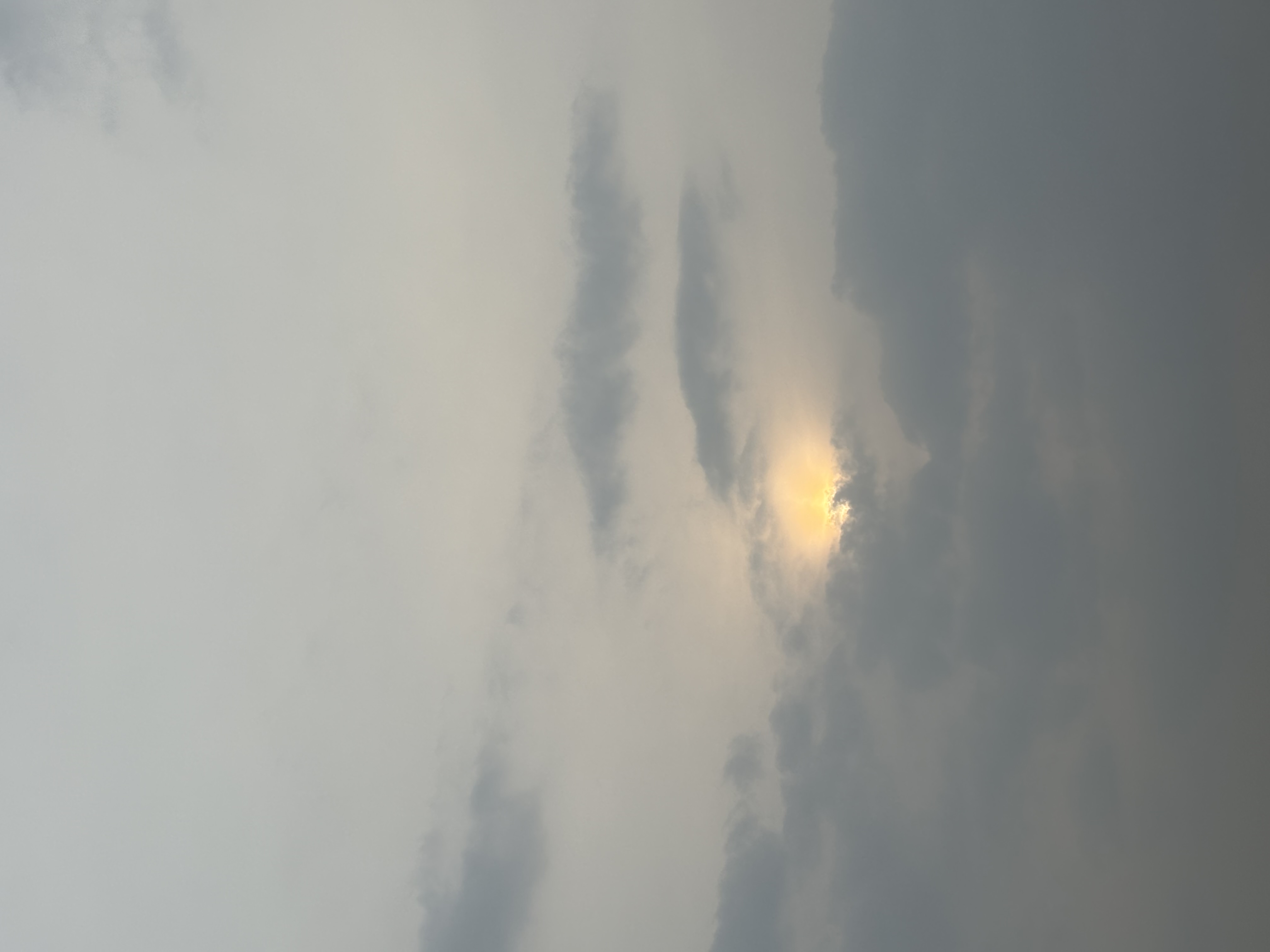 送你一朵小红花