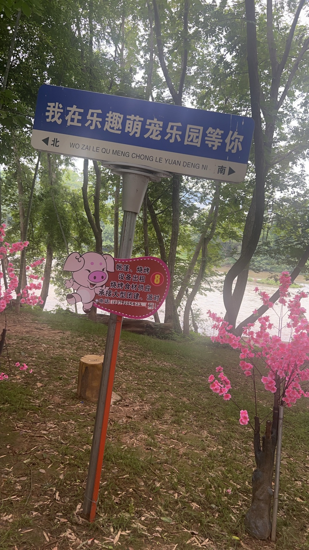 真心处对象一对一服务