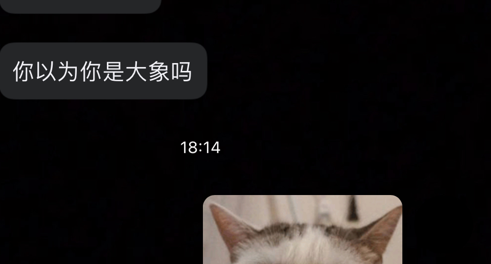 不爱了就说我是大象