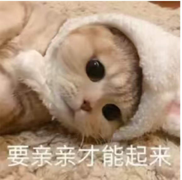 找妈妈