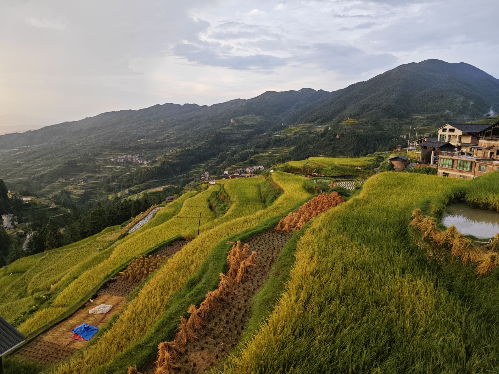 🌱+定格秋分+牧场