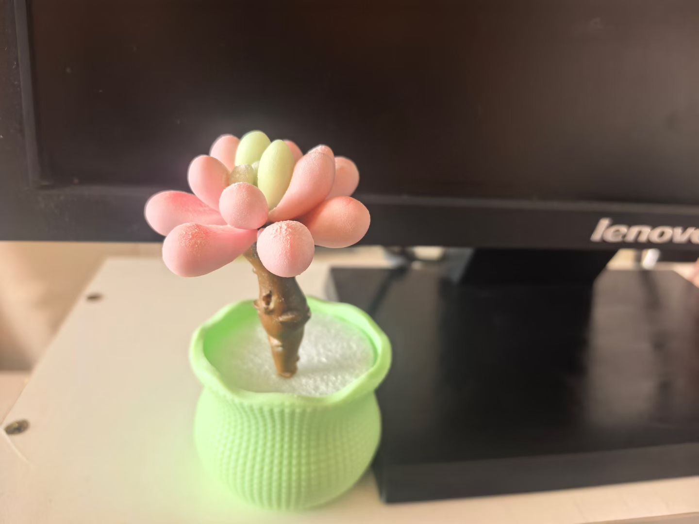 静+桌面好物+花园