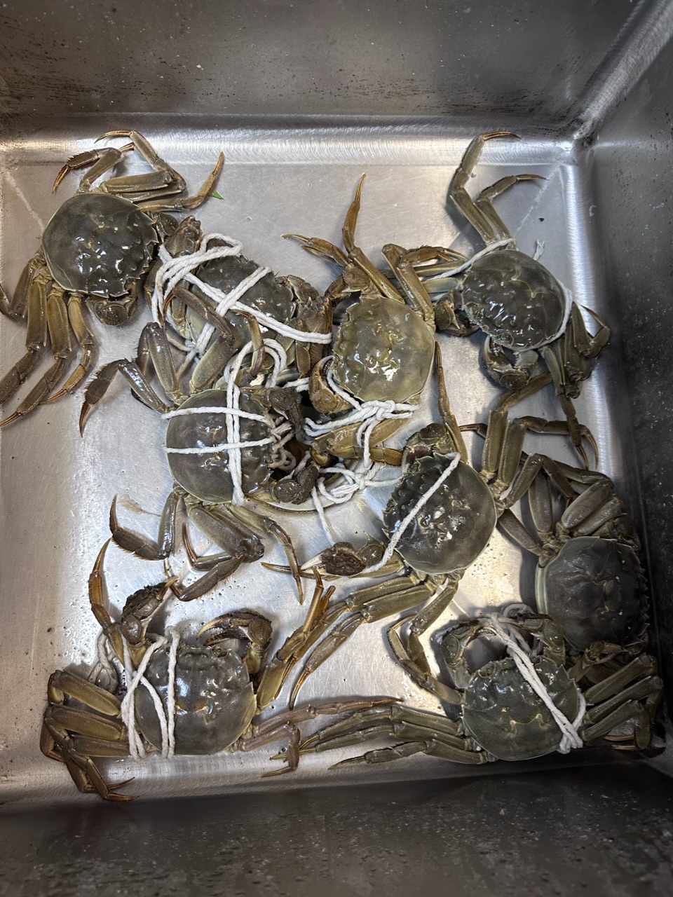 一觉睡醒天都塌了，螃蟹跑了一只