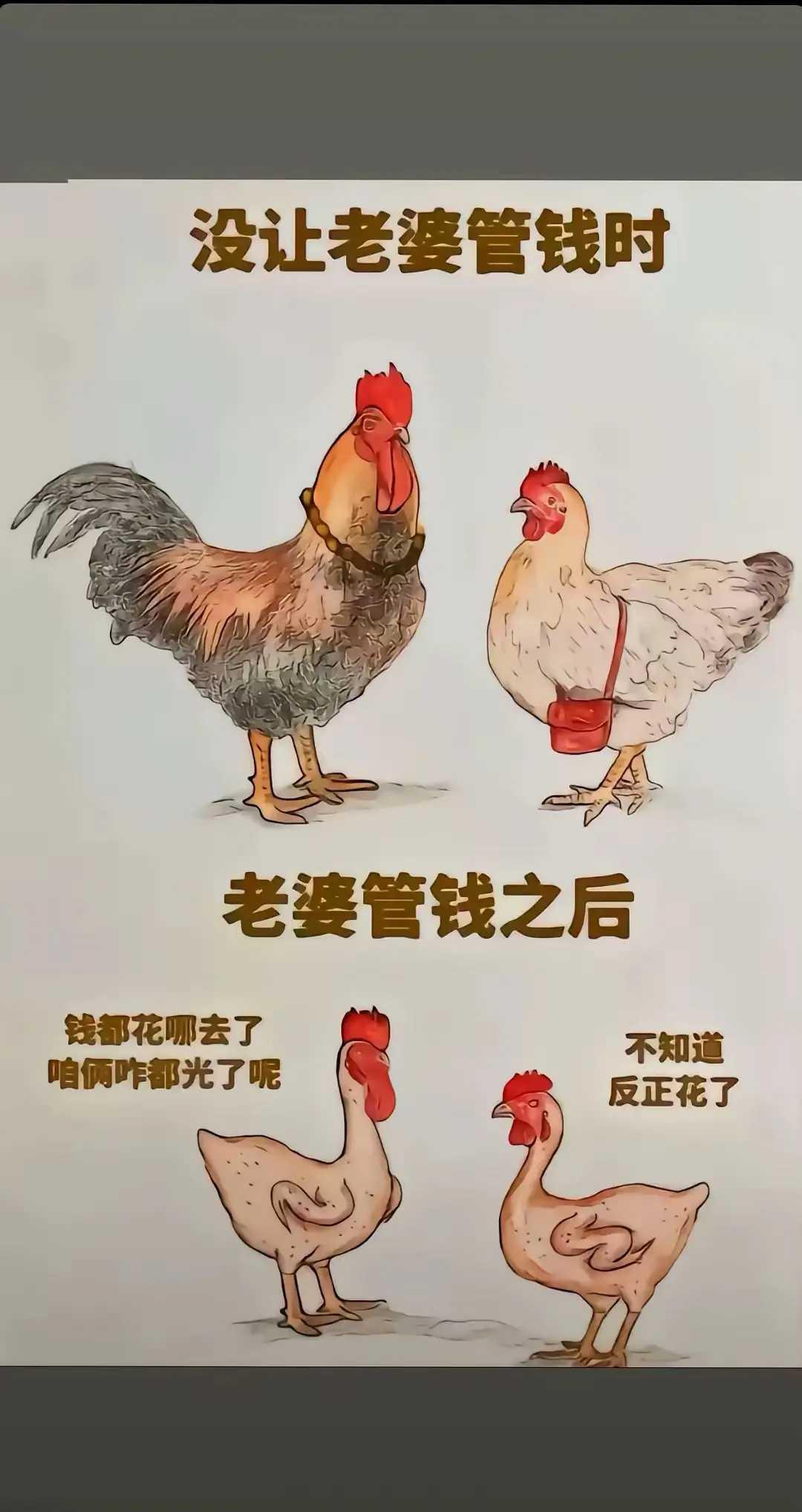 男女管钱的区别