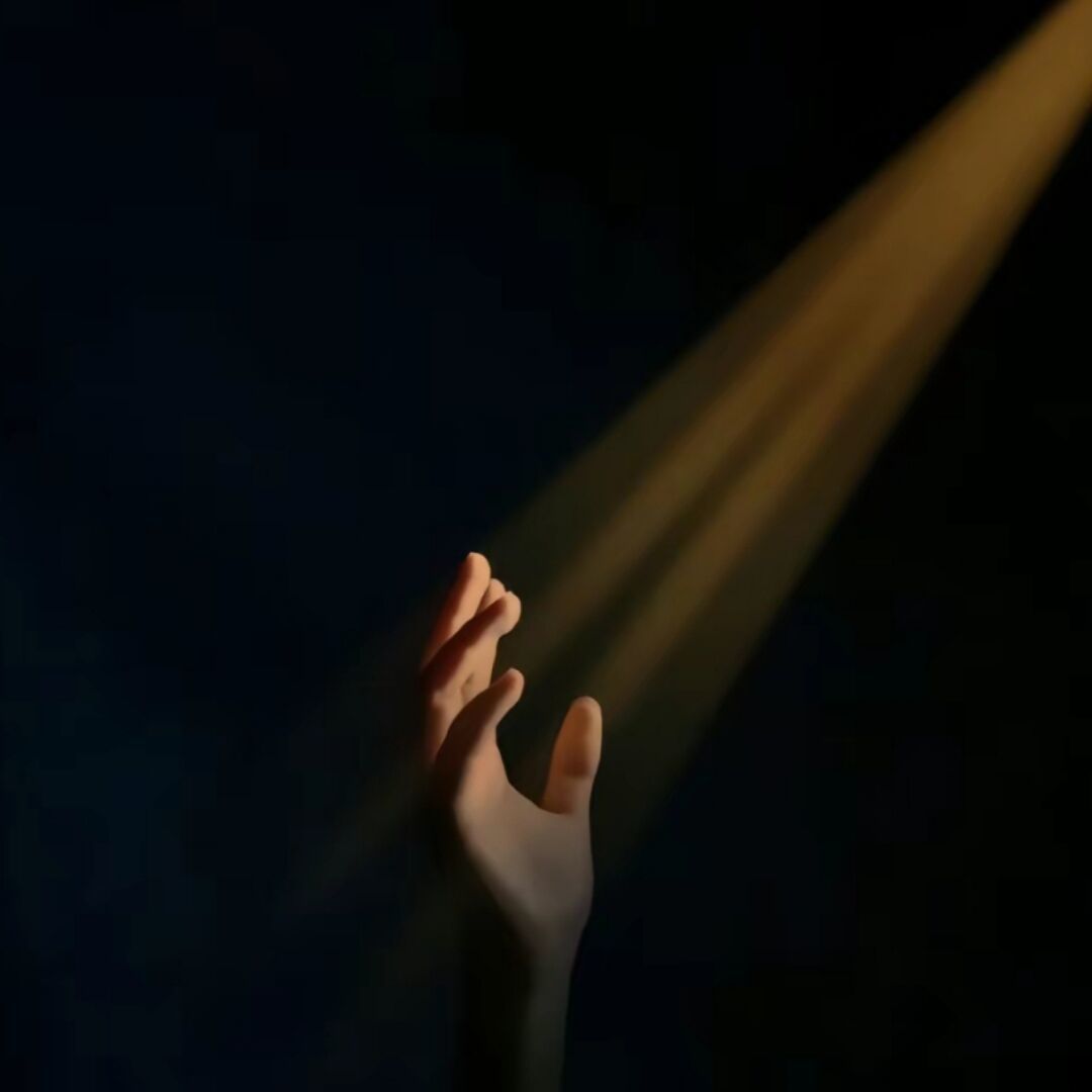 50202